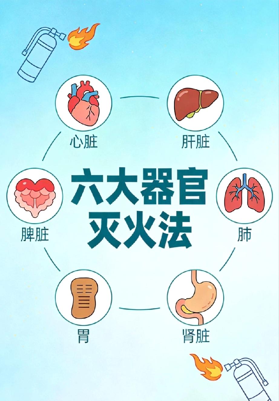 从中医的角度，怎么灭火？[吃瓜群众]
中医方法论 中医基础认知