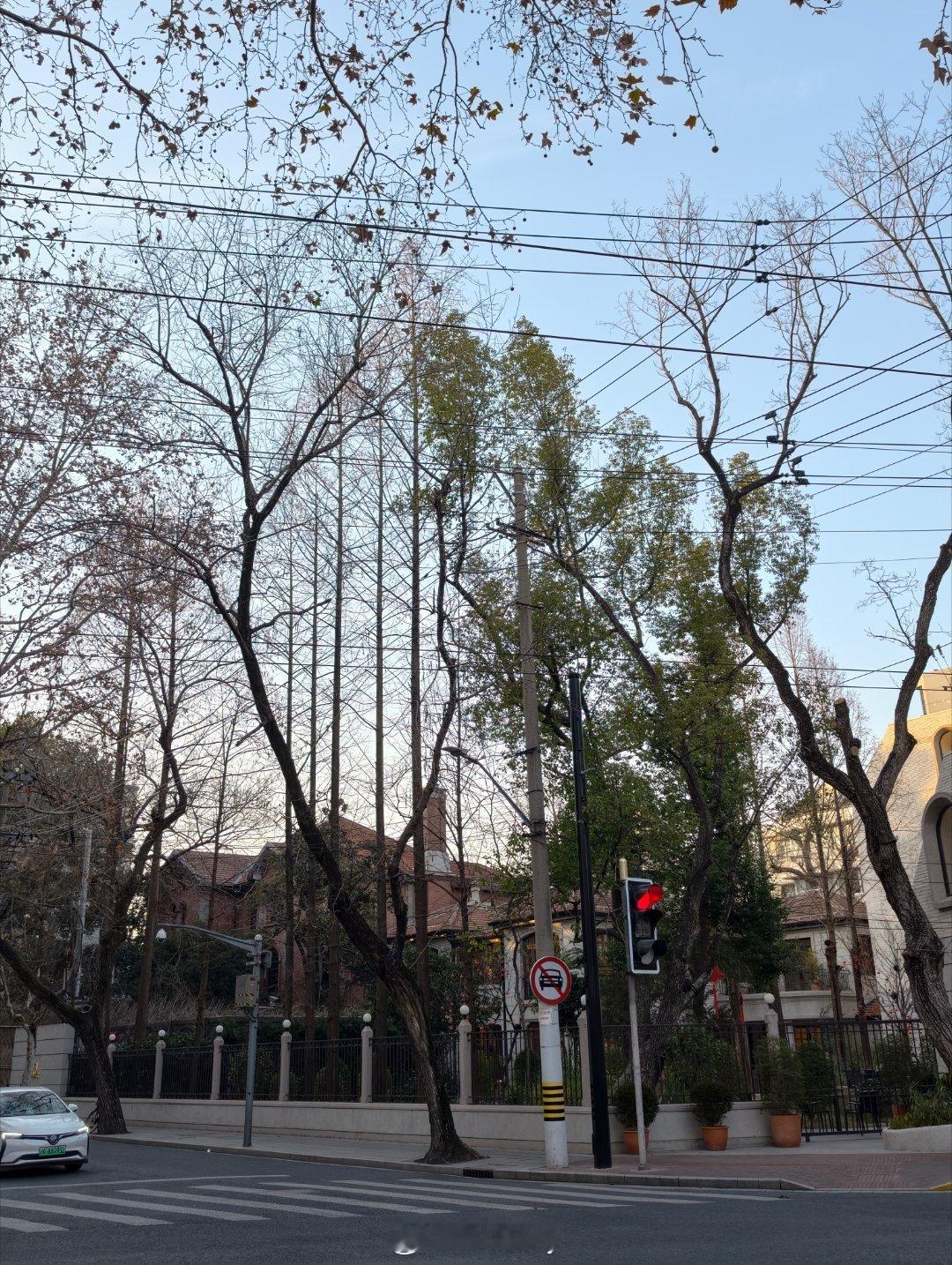 今天陪猫妈做检查都还挺顺利Citywalk一下