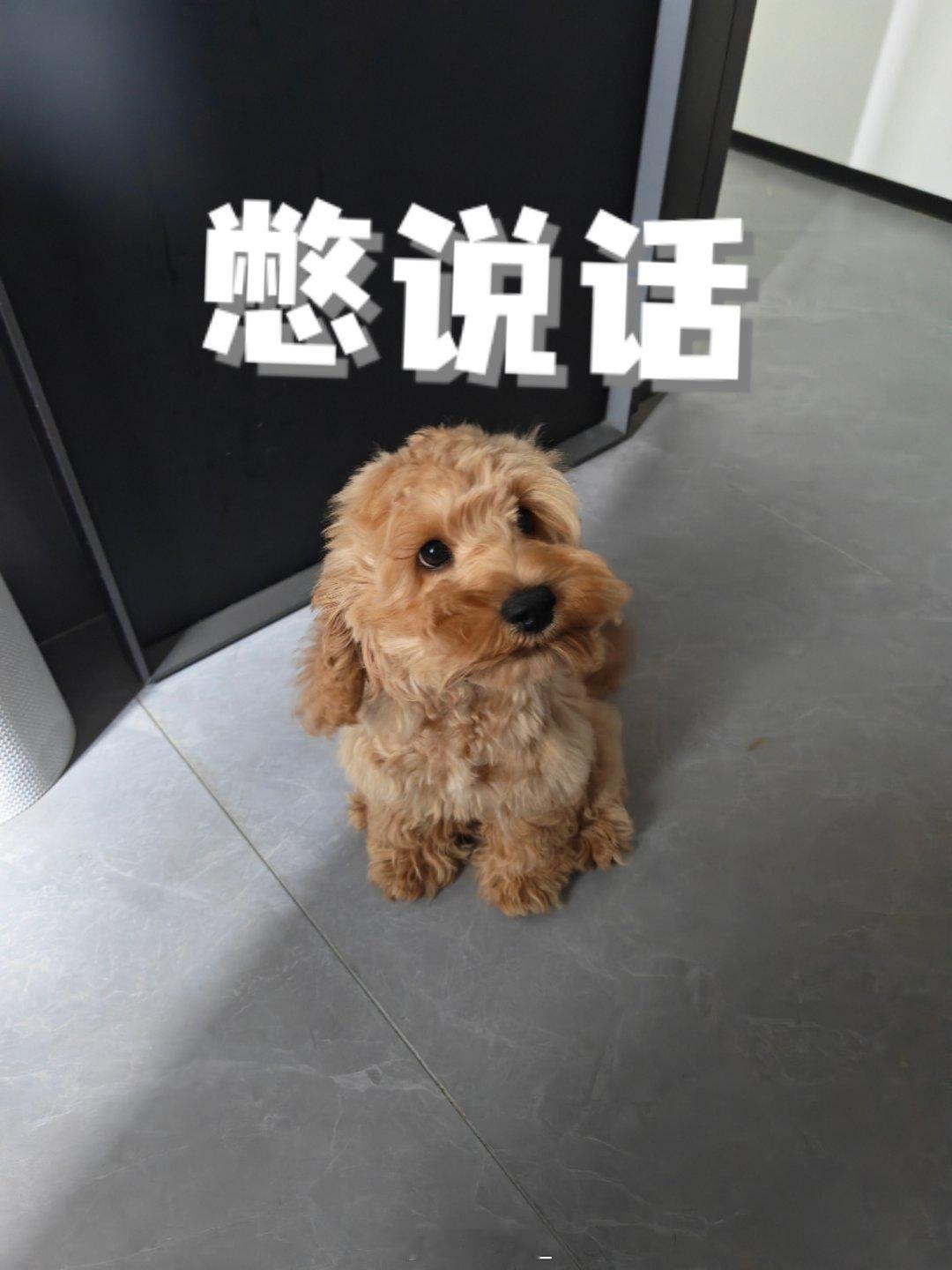 消失了两天🥲主要是因为有个项目在赶进度😮💨刚刚忙完我先睡哥昏天黑地再说🥱
