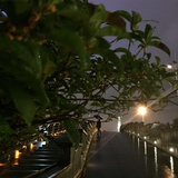 小杨梅热聚历史