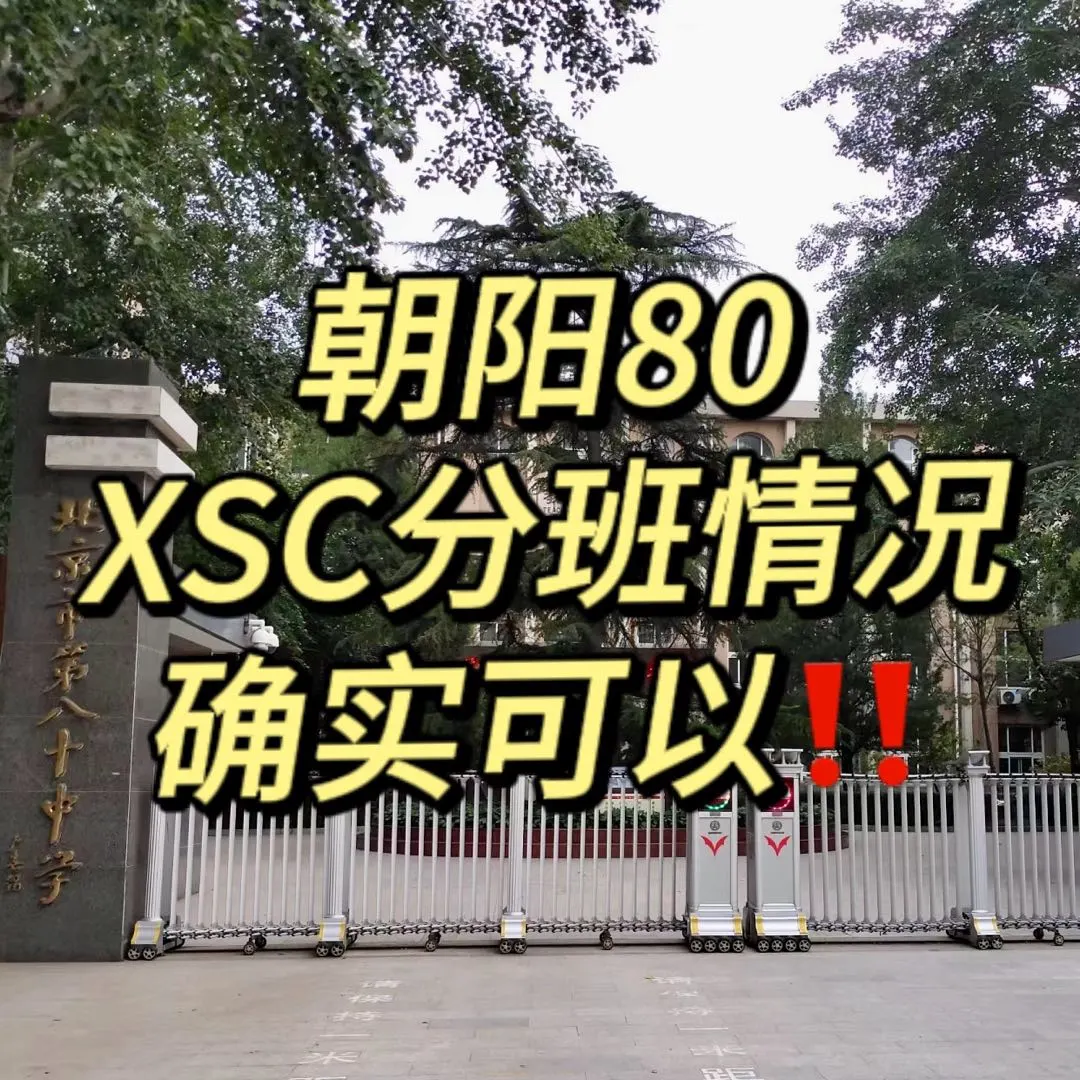 朝阳八十XSC分班情况确实可以‼️