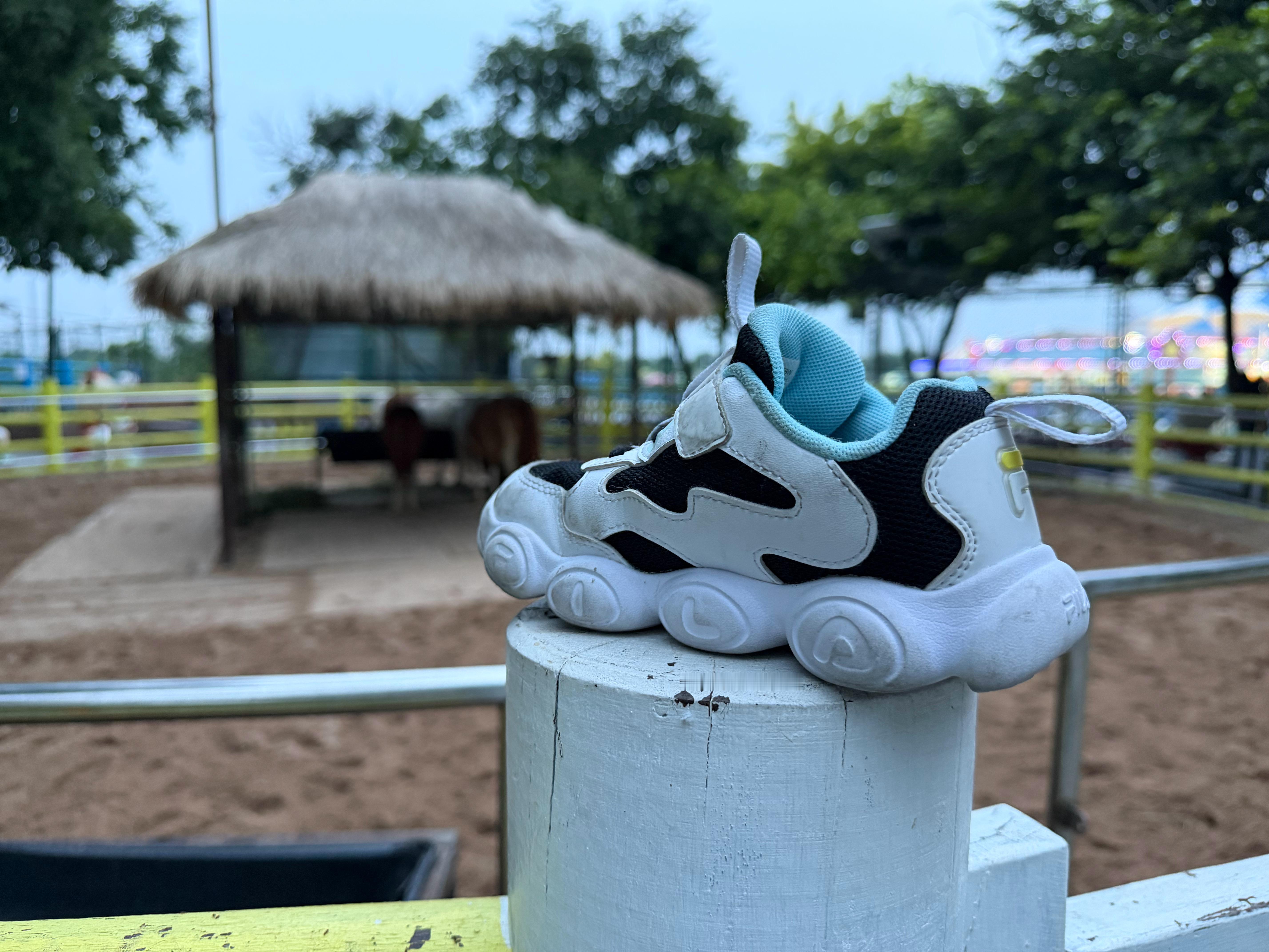 这是一个悲伤的故事在天津极地海洋公园的萌宠乐园捡到一只小朋友的鞋是的 一只鞋 给
