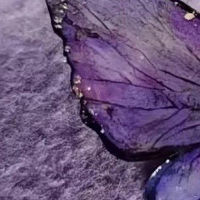 每日一善💜阳光信用💜每日一善自己不努力,谁也帮不了你；你得有足够的实力,你的