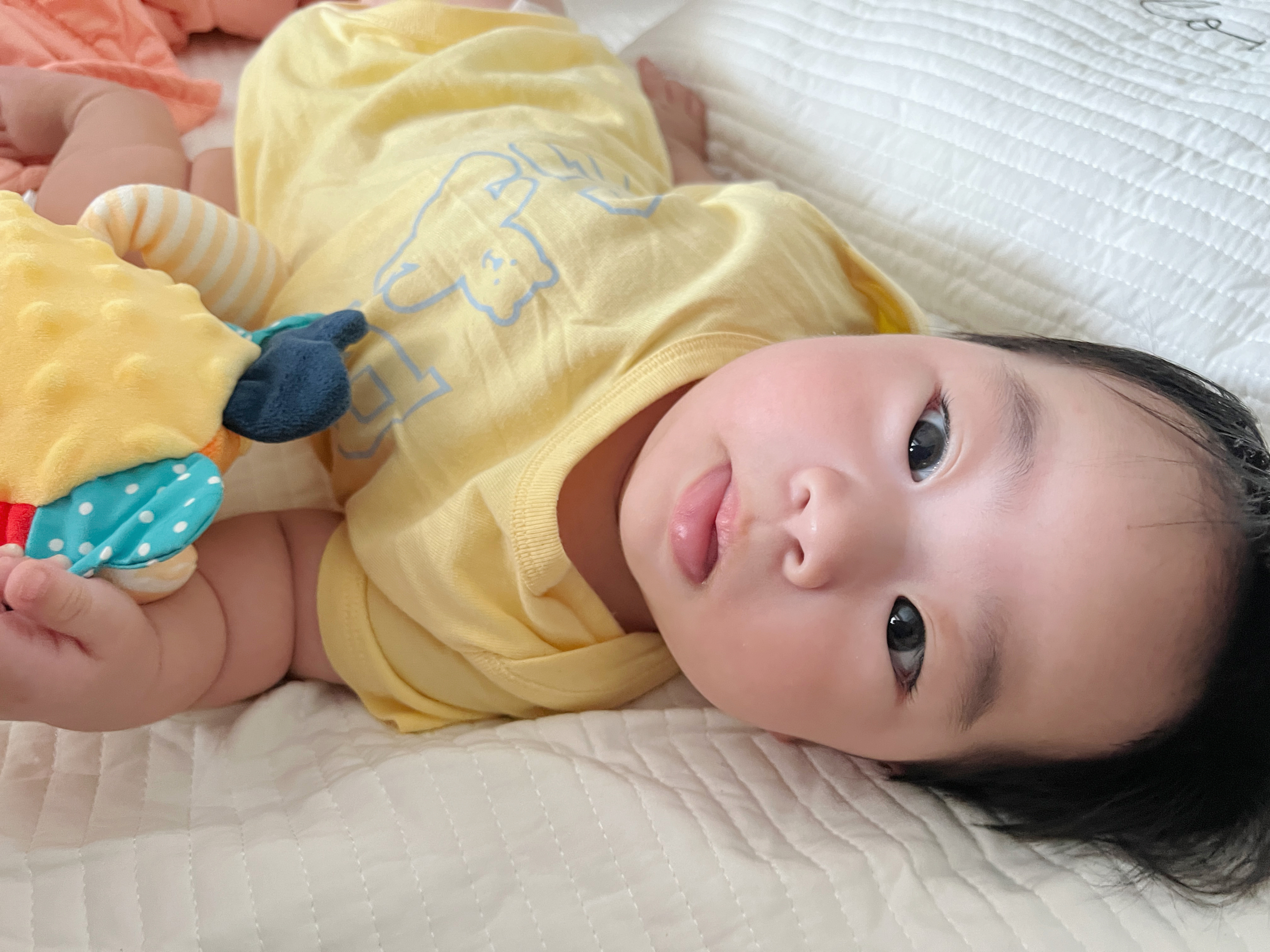 外面呼呼大风，里面呼呼大睡咱们小水晶从12:30睡到15:10还是被我电话吵醒了