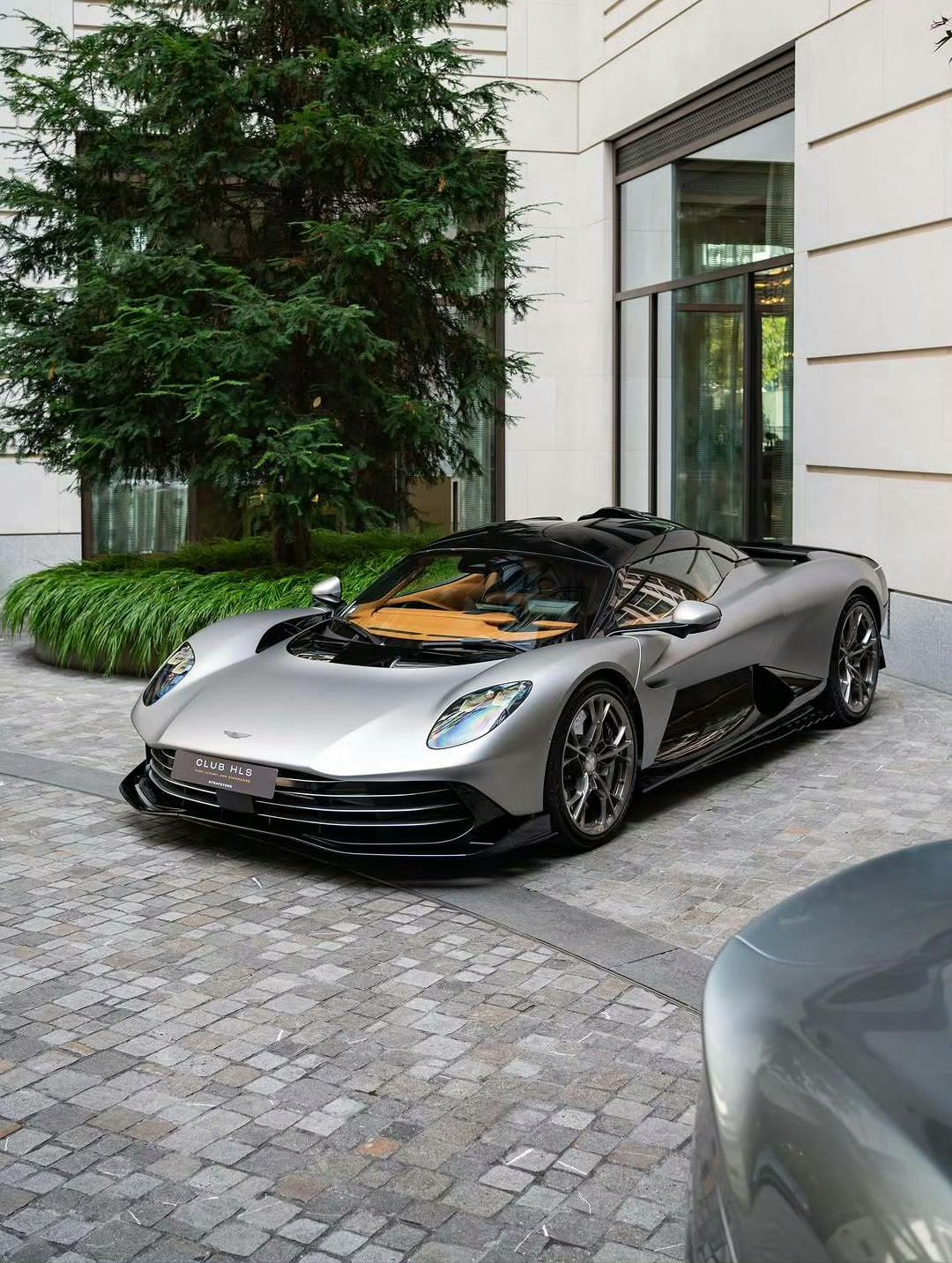 阿斯顿马丁Valhalla ​​​