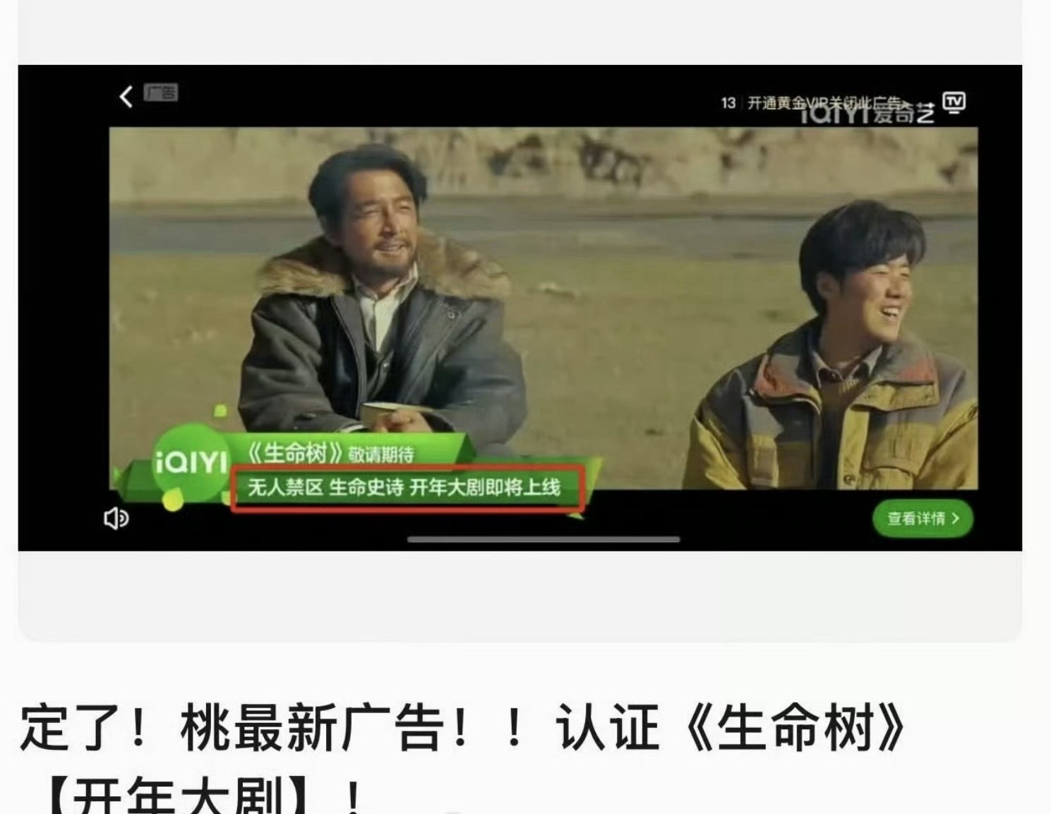 爱奇艺：生命树开年大剧即将上线，也太急了点桃🥝