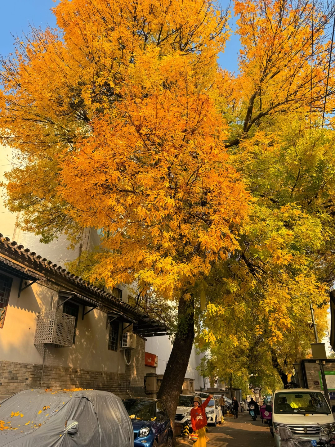 秋日散步美学🍂北京必打卡的7️⃣条赏秋路线