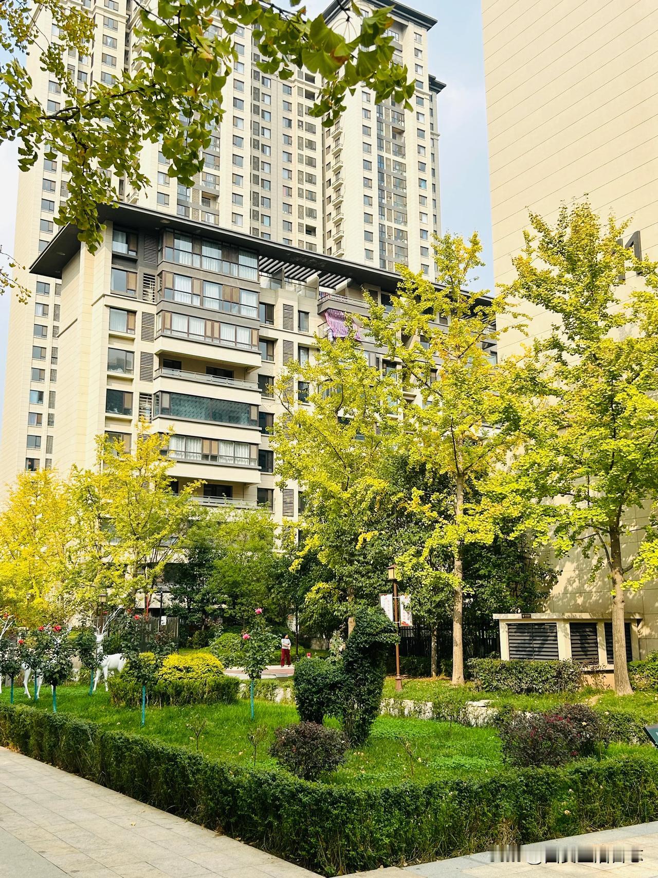 今天的天气多变，根据天气预报，将出现寒潮和大风降温过程，气温下降10度左右，连