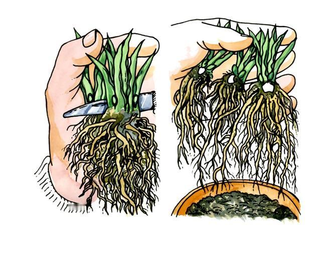 你正在被割韭菜？注意！

回到手机品牌，它为什么要疯狂的出新？一方面是让手机市场