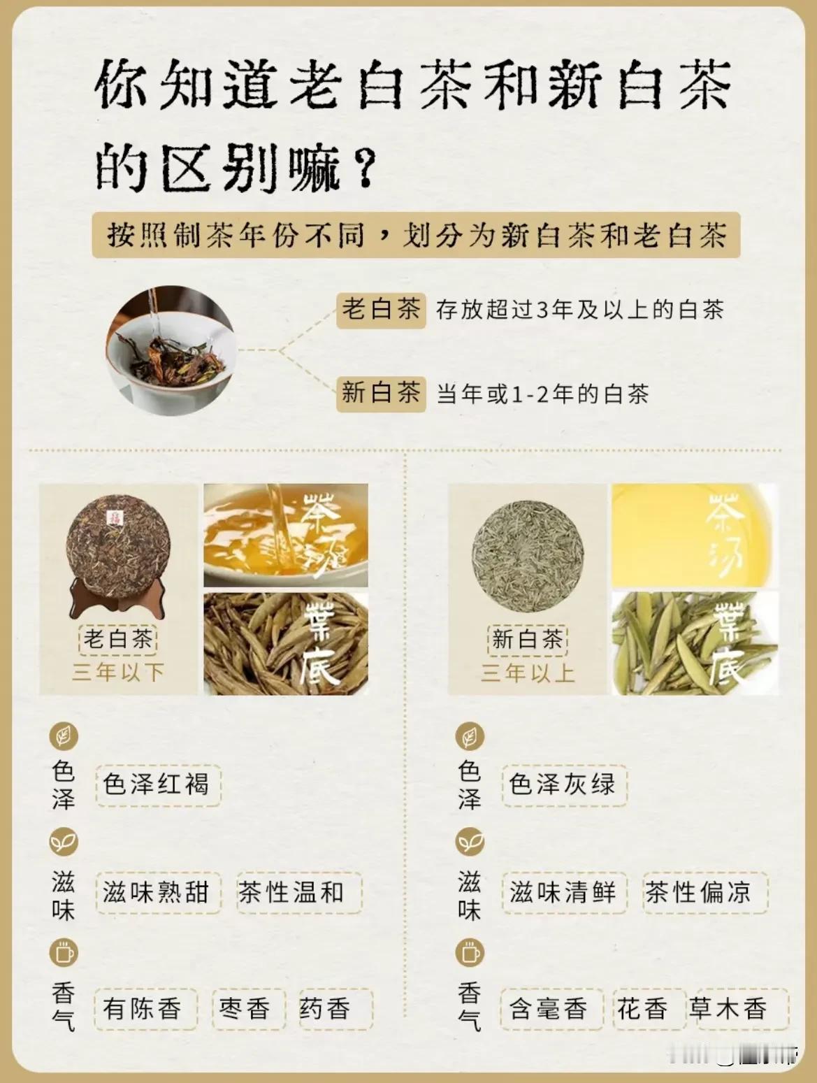 新老白茶喝起来有什么区别？