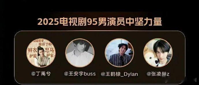 新浪娱乐评选的四大95生：丁禹兮、王安宇、王鹤棣、张凌赫谁抬咖了[doge] ​