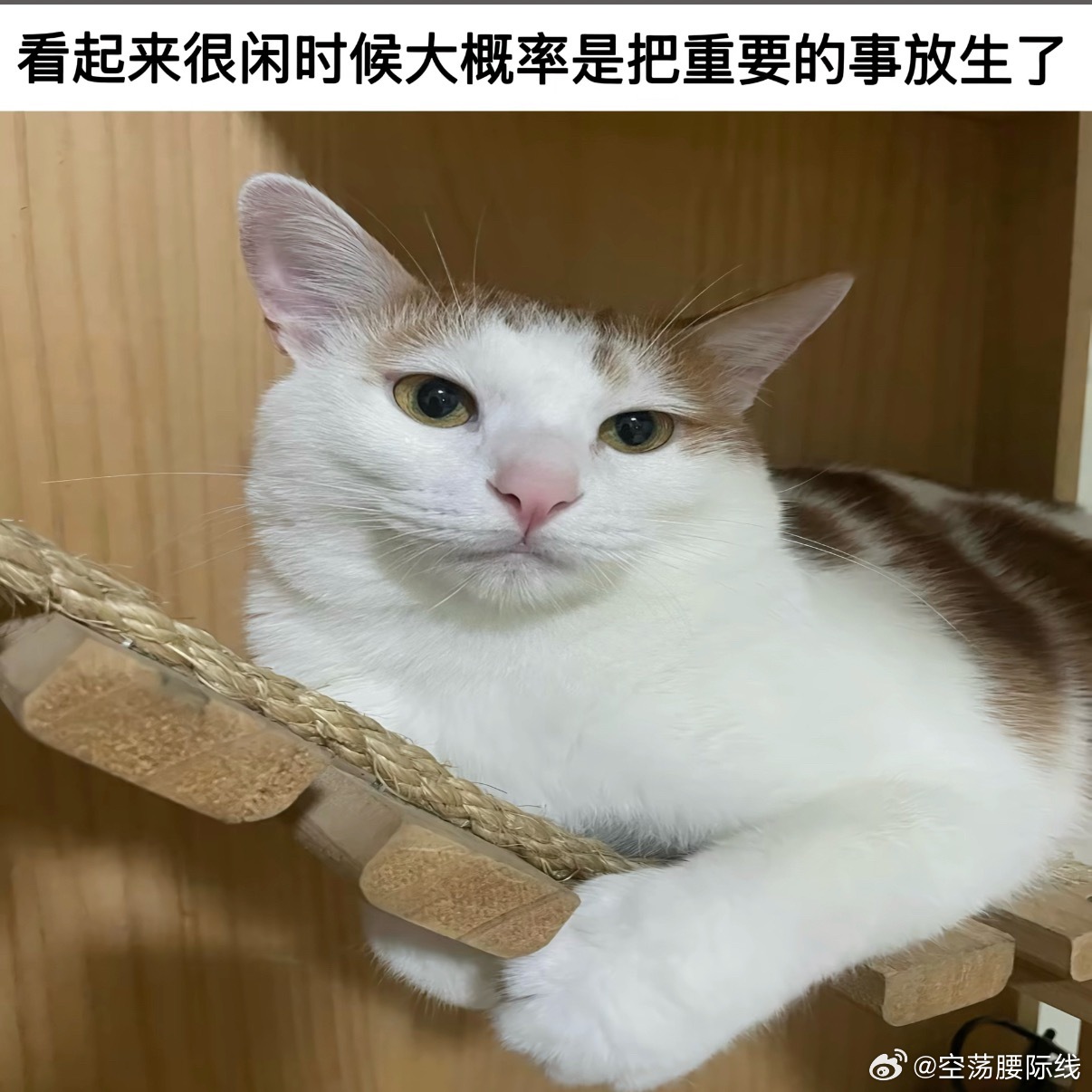 笑死我了完全是我啊 健身房再见驾校再见工作再见 
