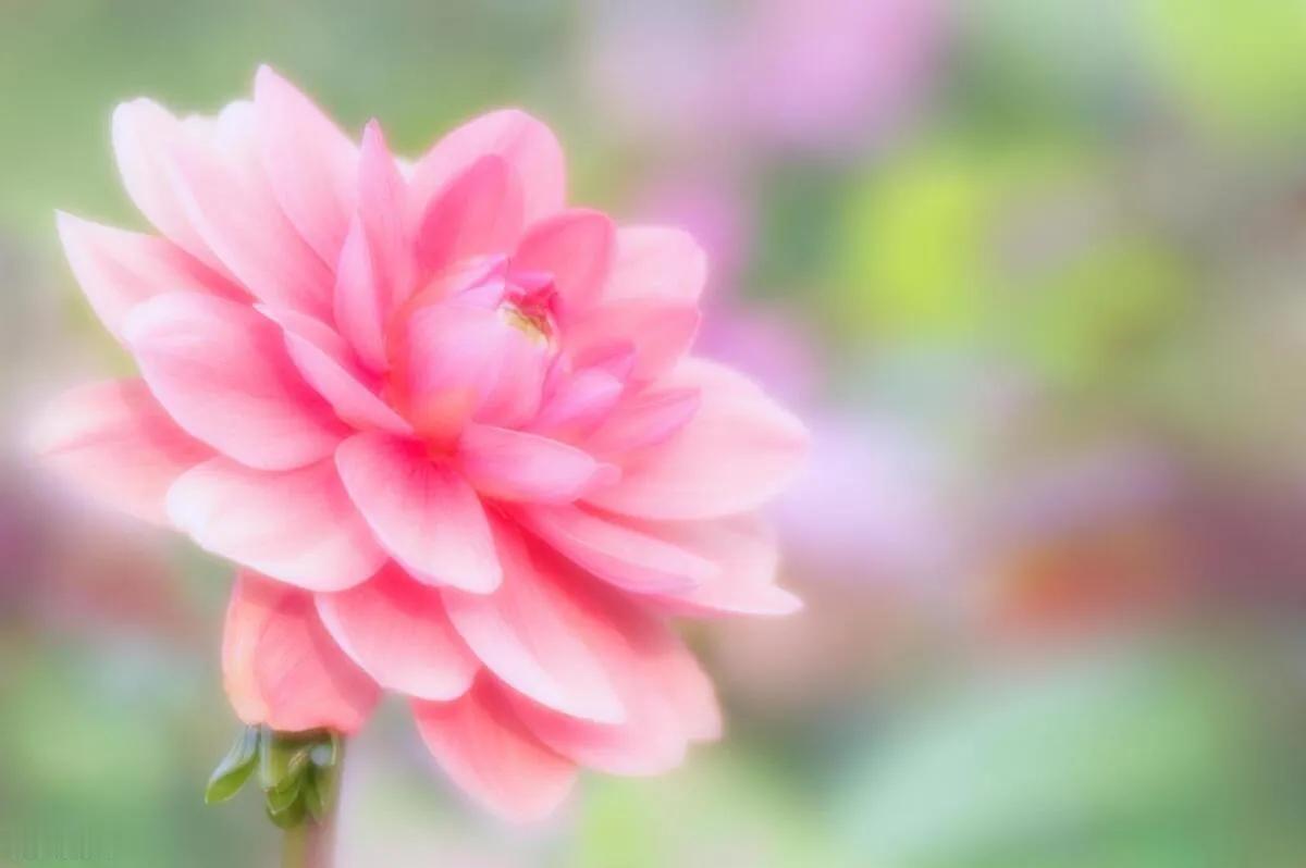 今天我好幸运呀！一没病，二没灾，三来财，四有喜！
清晨醒来，感觉万物都在向我招手