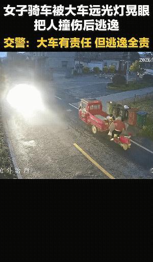撞到人就这么走了[what]
虽然是对向车远光灯的直接原因
我以为至少她会放好车