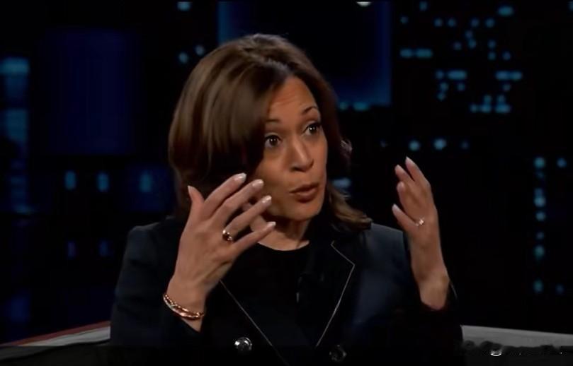 哈里斯对爱泼斯坦档案能否完整公开持怀疑态度，她批评当下司法部已被当作“私人律师事