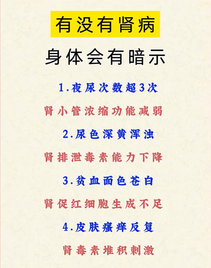 夜尿增多、尿色浑浊，或是肾脏发出的预警