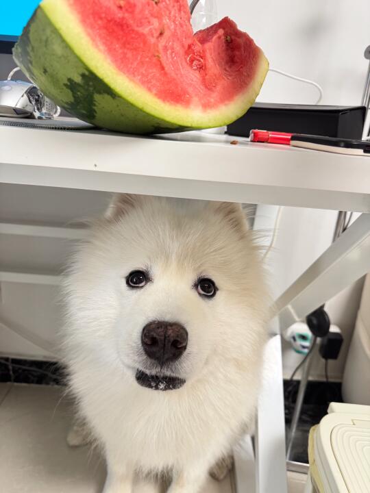 我看起来很聪明吗