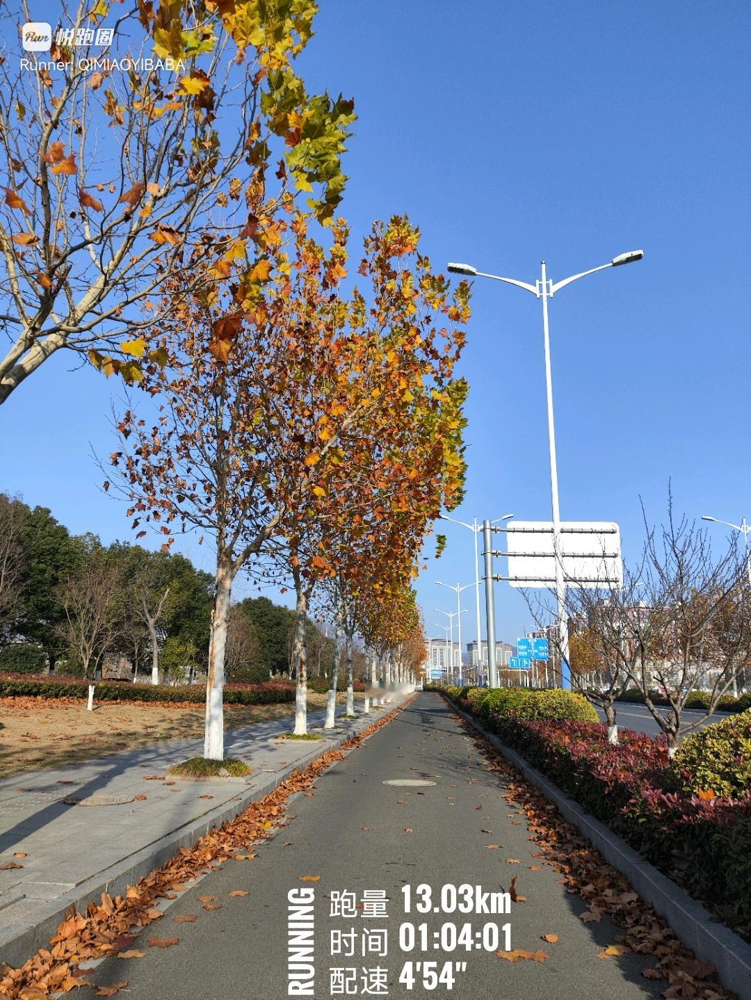 跑起来，金陵的晚秋空气冷冷的，阳光暖暖的，天空蓝蓝的，地上黄黄的好诗