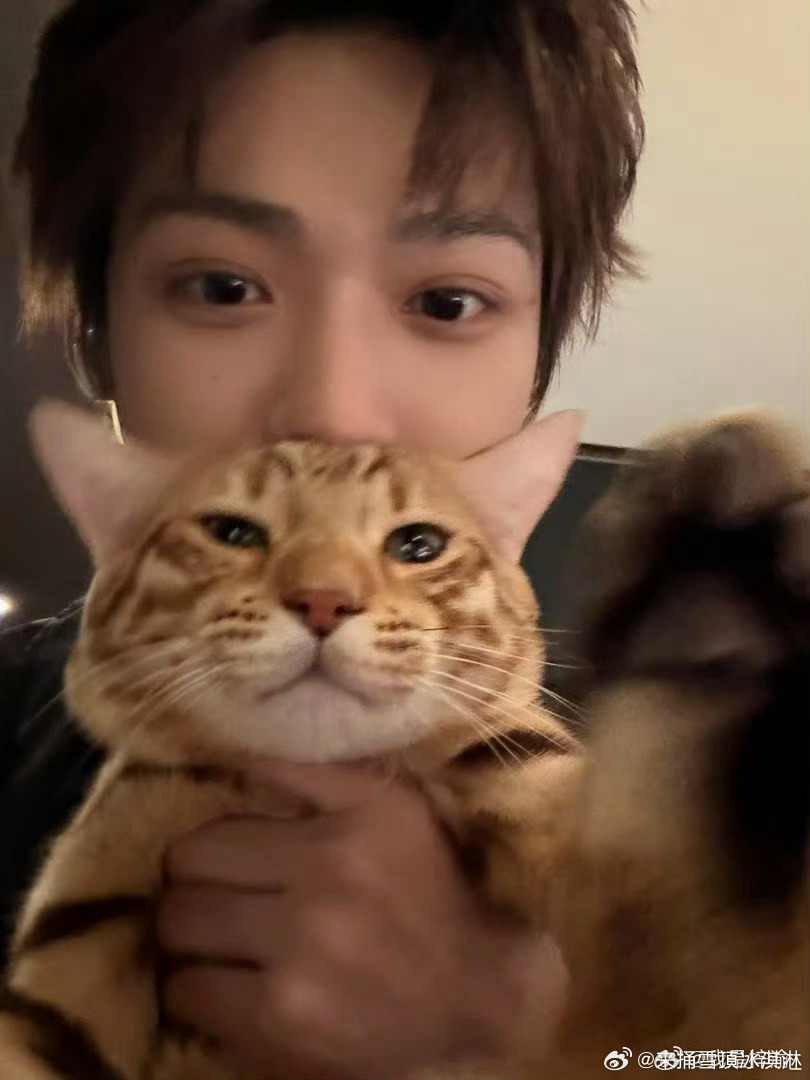 梓渝告黑新进展梓渝名誉维权进展行行行 