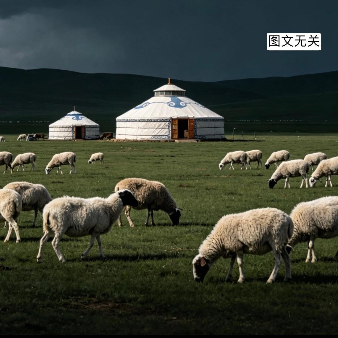 月薪1.6万放羊包吃住但全年无休这个事情现在网上都吵疯了，据说已经有几对夫妻面试