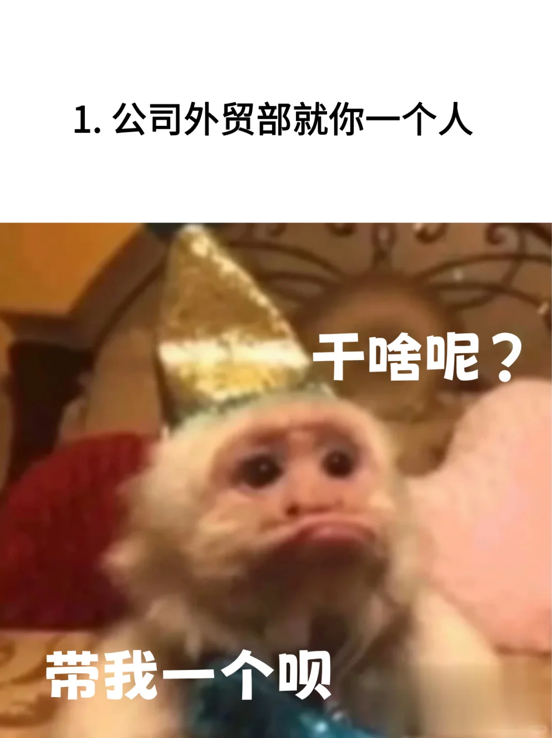 当外贸e人emo的时候！原图拿走！