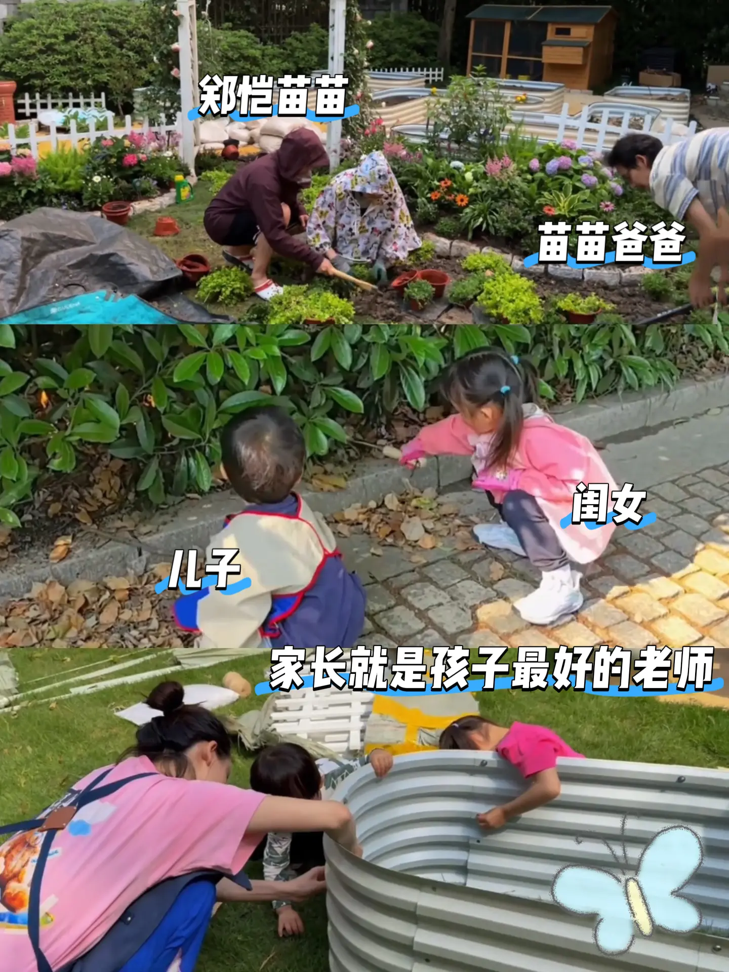 郑恺苗苗的一双儿女很会心疼妈妈呀。苗苗用树叶做有机肥，俩娃心疼妈妈，帮...
