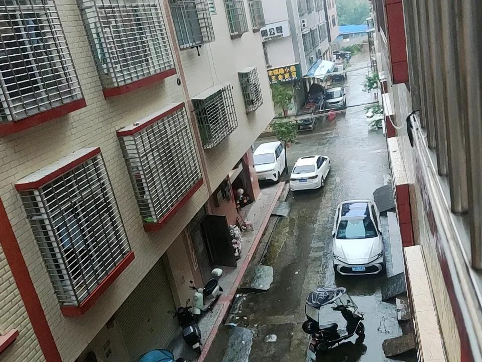随手拍街景真的能捕捉到好多有趣瞬间。就像有路人在杭州街头拍到宗馥莉，她没了商务活