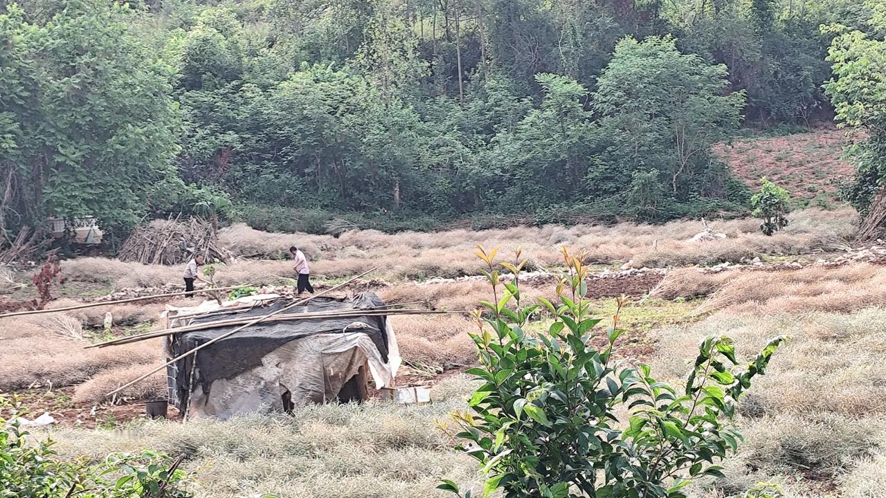 晒图笔记大赛最美乡村，大美四川！你有什么好的三农照片吗