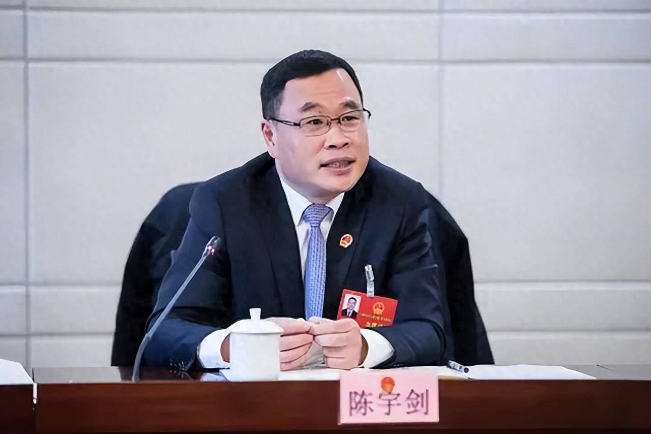上海市副市长陈宇剑任上落马！
这可是长三角乃至震动全国的大新闻，70后副部级上海