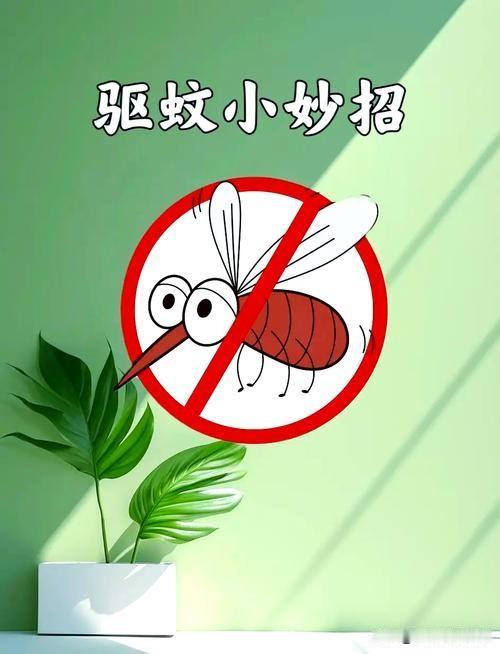 夏天到了，蚊子确实是个让人头疼的“吸血鬼”。想要有效驱蚊，关键在于“主动防御”和