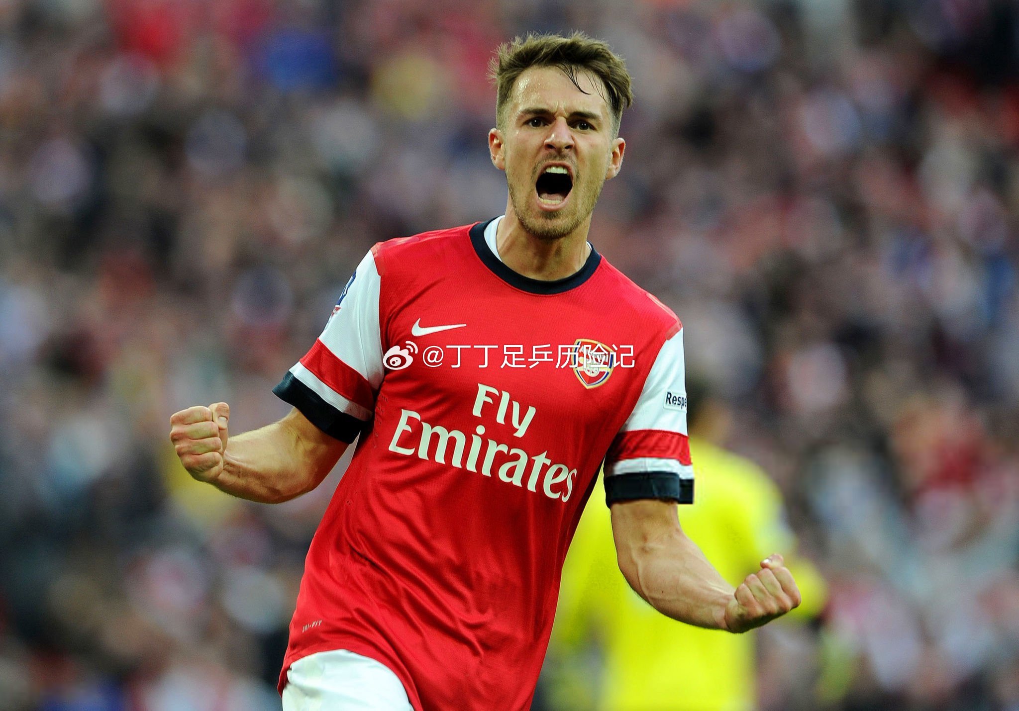 拉姆塞退役阿森纳35岁的阿隆·拉姆塞从职业足球界退役。阿隆·拉姆塞退役声明:“这