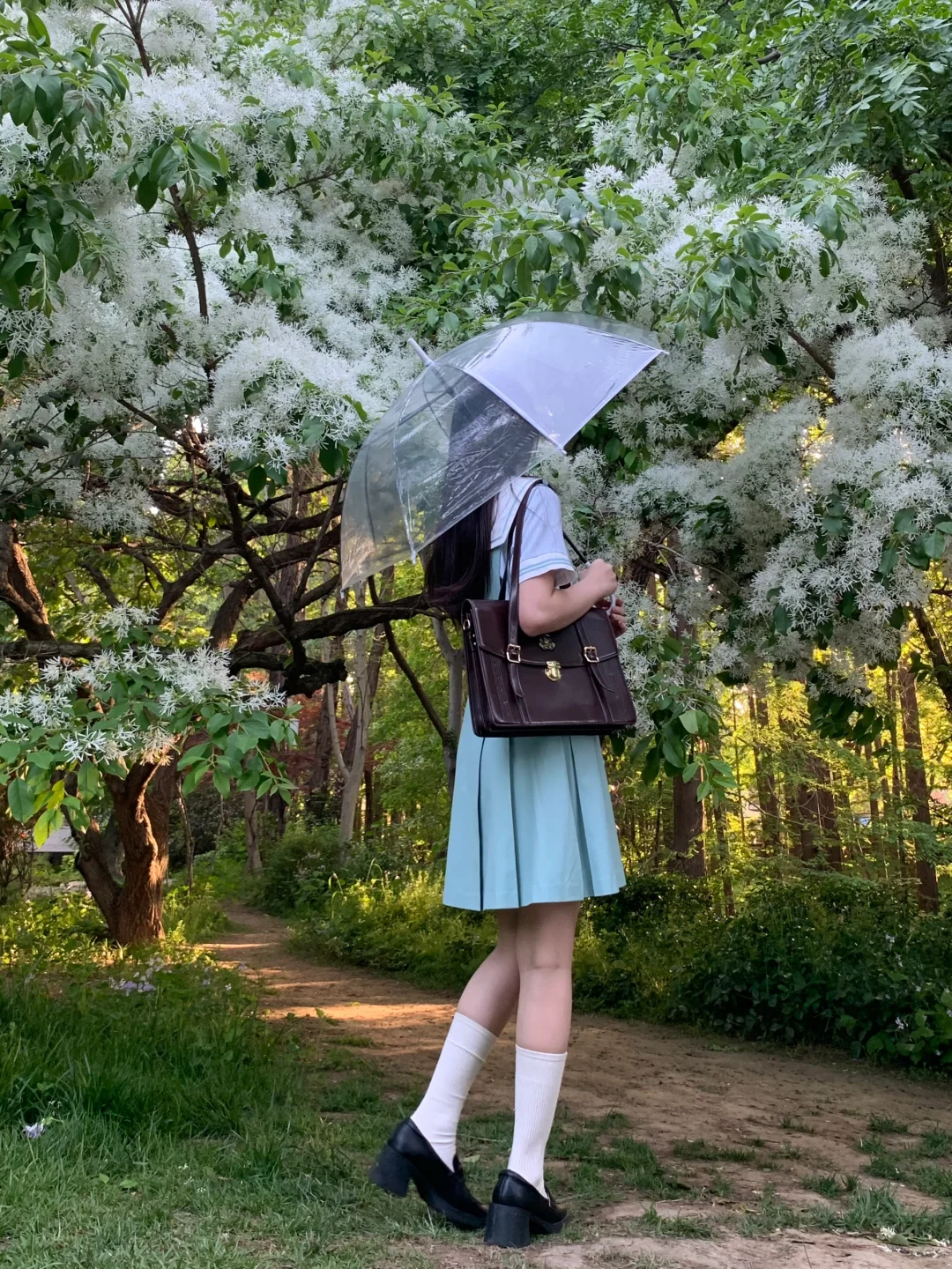 见过花开就好了 何必在意花为谁开