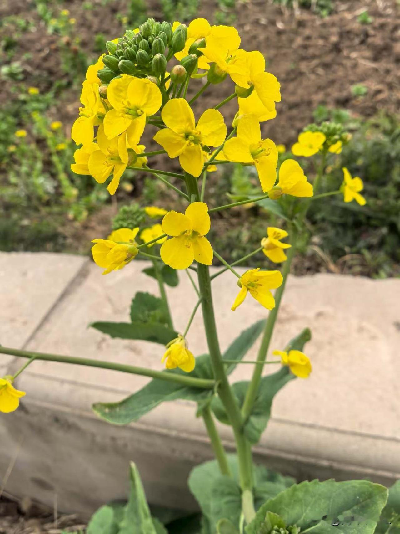 不管是谁惹你不开心，都不配让你一直难受。