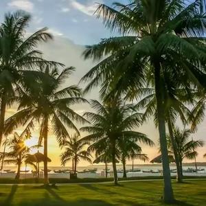 灯下宁静的思考