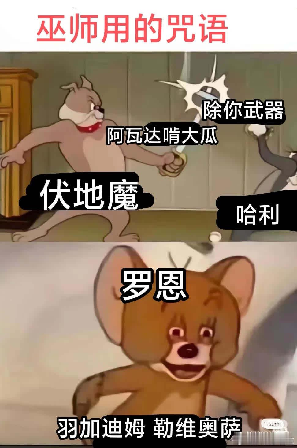羽加迪姆 勒维奥“萨——”（hp梗图相关内容） 