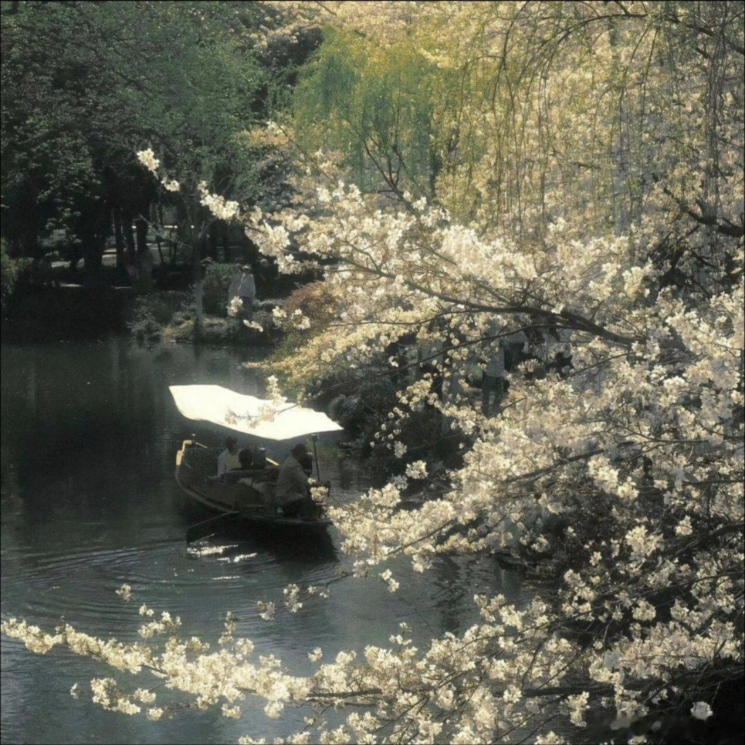 氛围感背景图。 