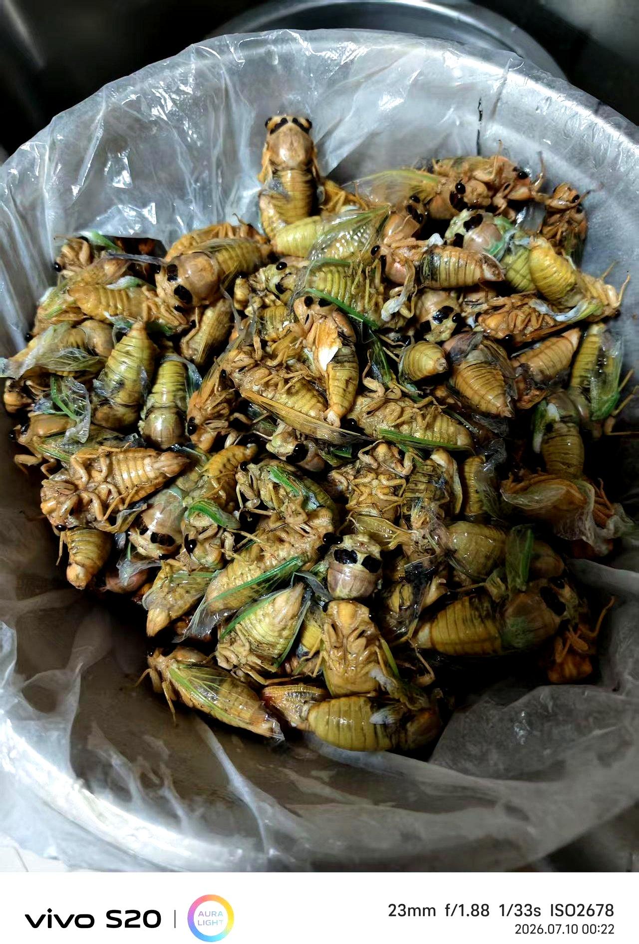 为啥一到问“拾了多少”这事儿，大家嘴都跟上了锁似的，谁也不爱说实话呢。
昨天我碰