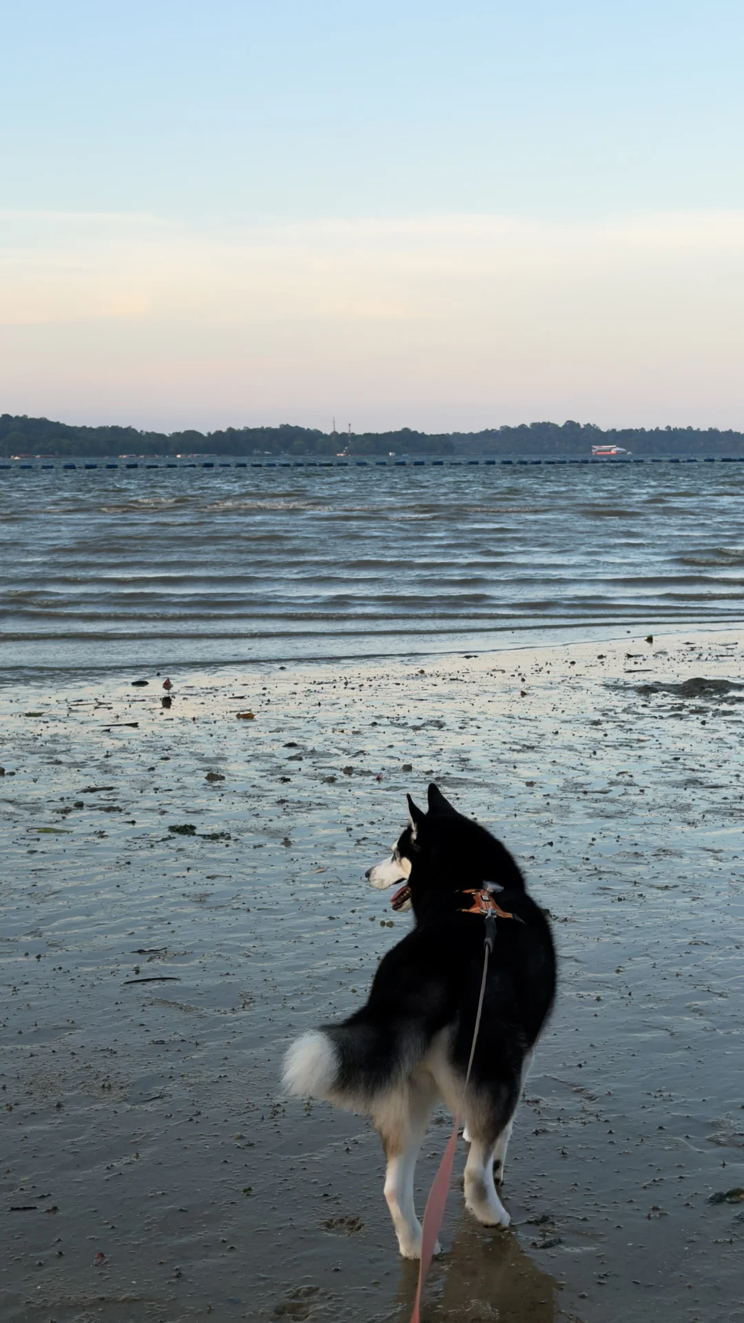 210326 脚脚脏了也没关系的