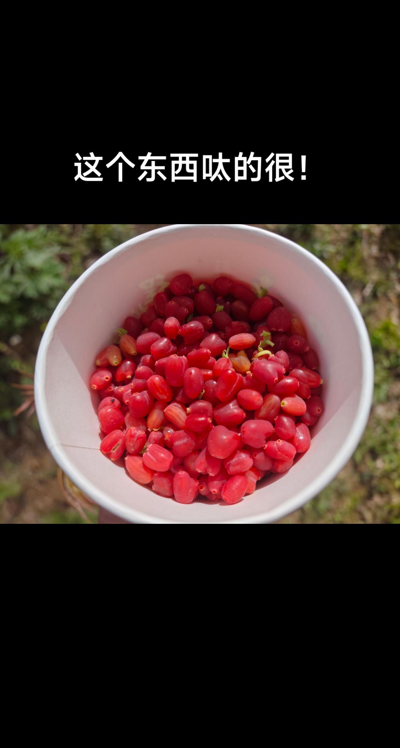 这个东西呔的很！
