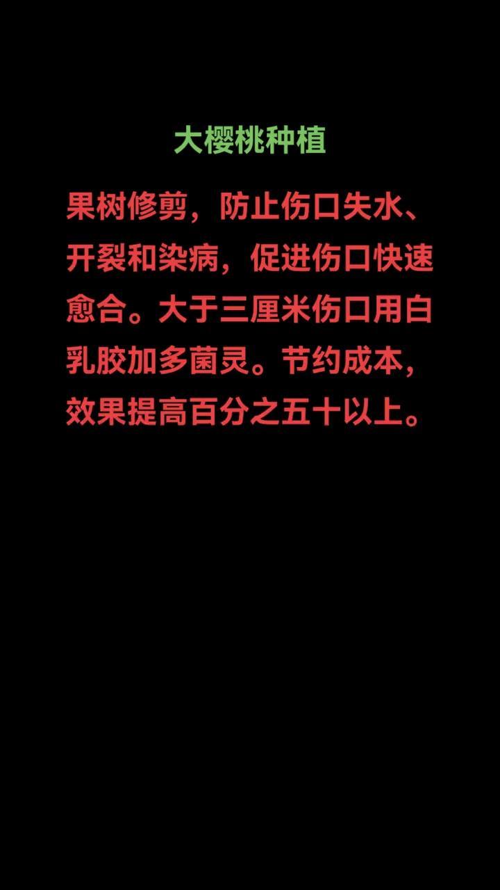 🍒大樱桃修剪后伤口必须及时处理，不然容易感染流胶。自己配的愈合剂超管用，成本低