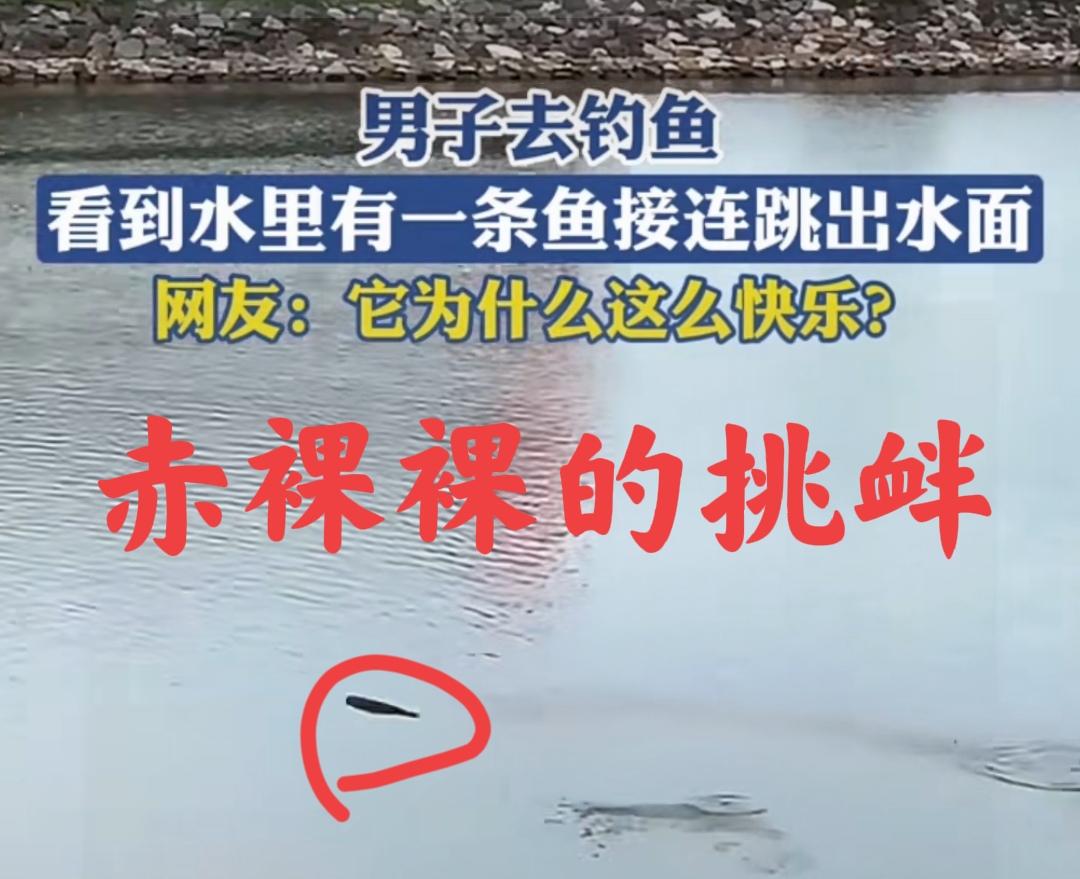 钓鱼人钓不到鱼，眼睁睁看着鱼在水里跳来跳去，心里什么感受？反正鱼肯定很快乐。估计