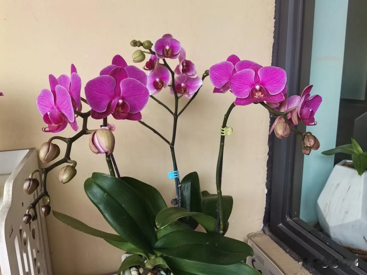 你认为找到一个合适的伴侣有多难?找个合适伴侣真挺难。
 
首先得有眼缘，可这世上