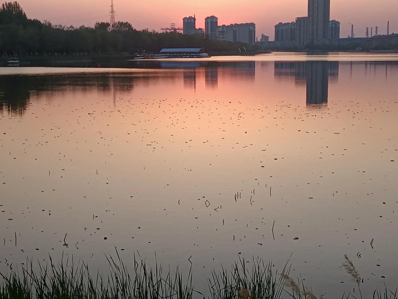 人生如梦，难得一碰，来吧，一杯酒祝福一下，希头条朋友们，一帆风顺好事多，身体健康