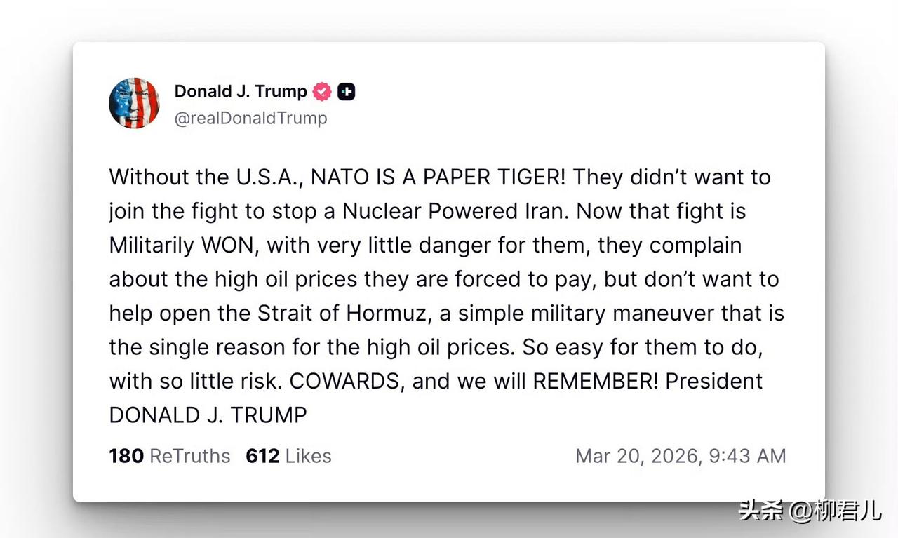 特朗普发文指责北约盟友是「懦夫」

没有美国，北约就是一只纸老虎，他们当初不愿加