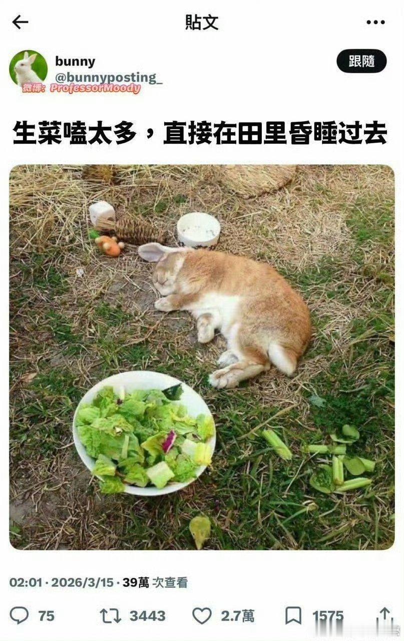 今日说法 