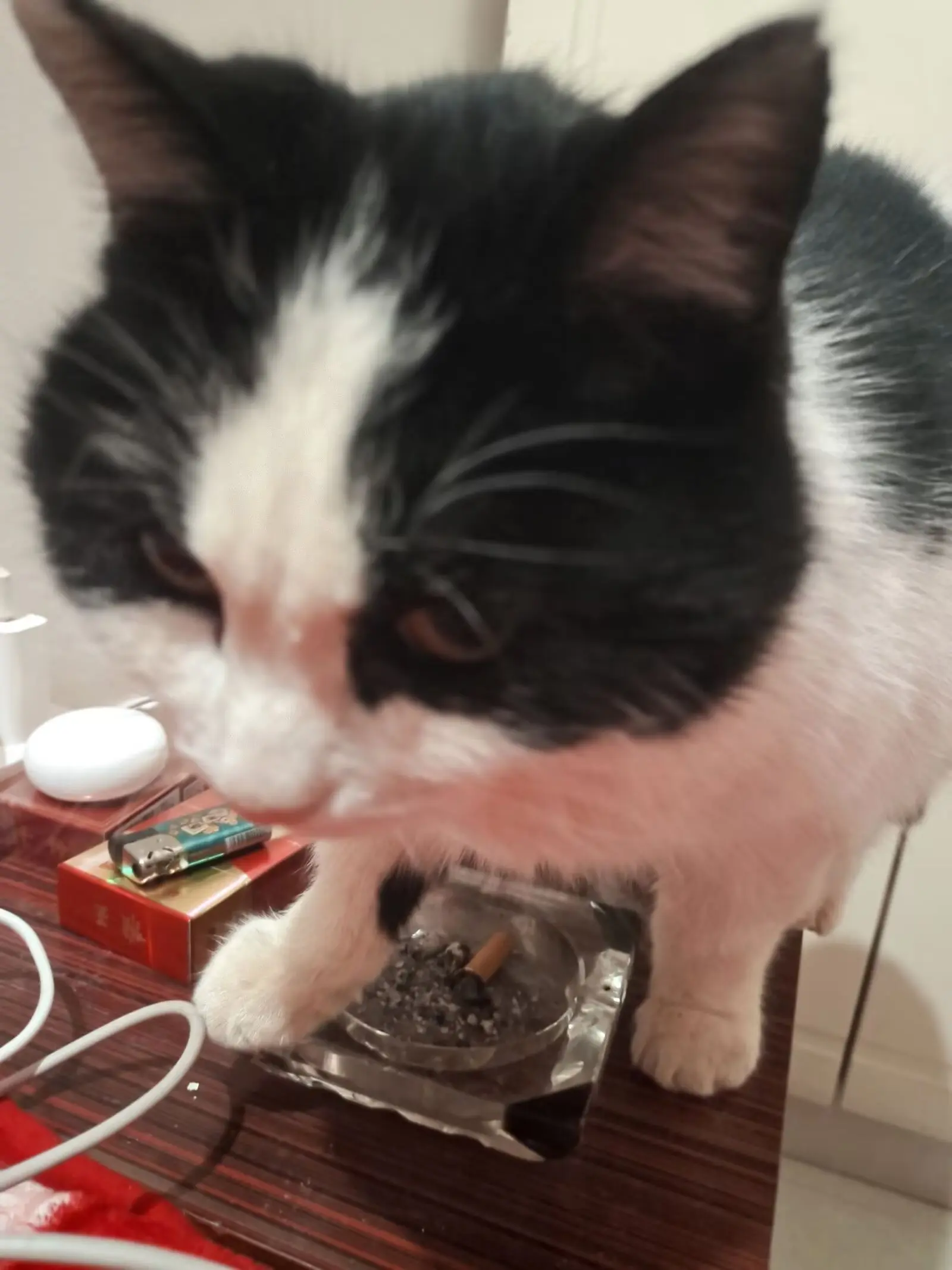 准备回家了。在外面当牛做马  回家依然是少爷😂