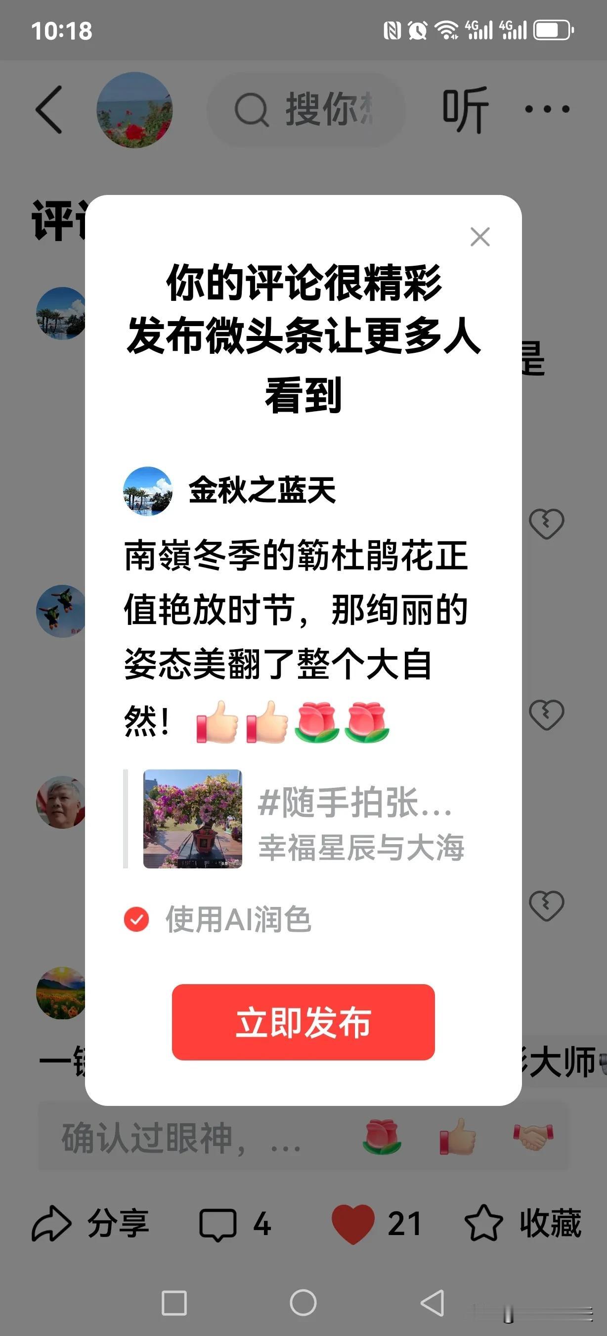 南嶺冬季的簕杜鹃花正值艳放时节，那绚丽的姿态美翻了整个大自然！[赞][赞][玫瑰