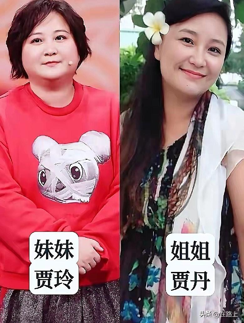 贾玲的姐姐贾丹、李冰冰的姐姐李雪、孙俪的妹妹孙艳……不说不知道，原来这么多明星背