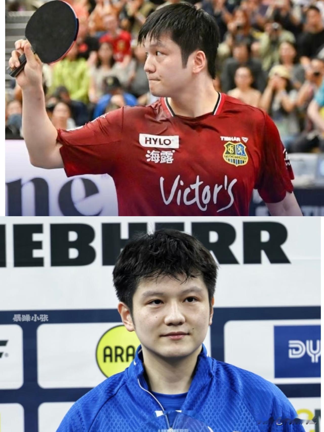 一天打四场还全赢，
樊振东这体能怕是铁做的吧？

硬生生把德国客场打成了“个人专