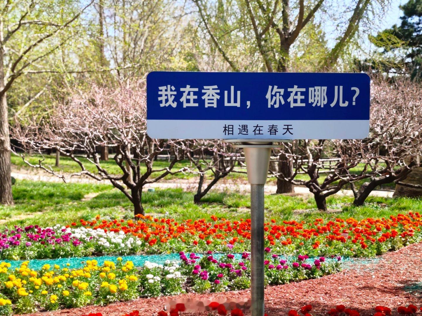 花开满径，轻步慢行…有小十年没来香山了，记录一下吧[偷乐]📷：小米14Ultr